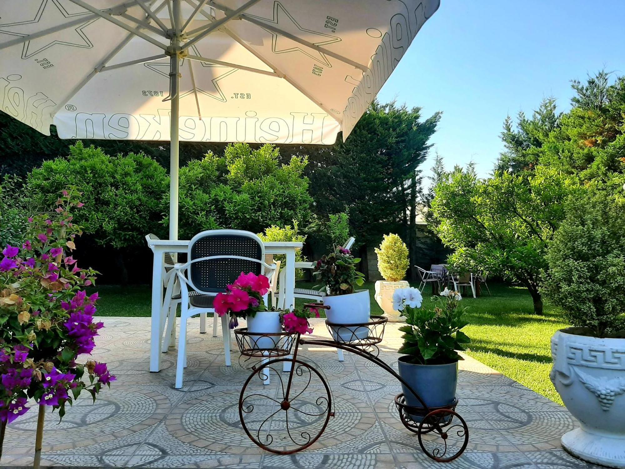 Hotel Vila Arbri Berat Exterior foto